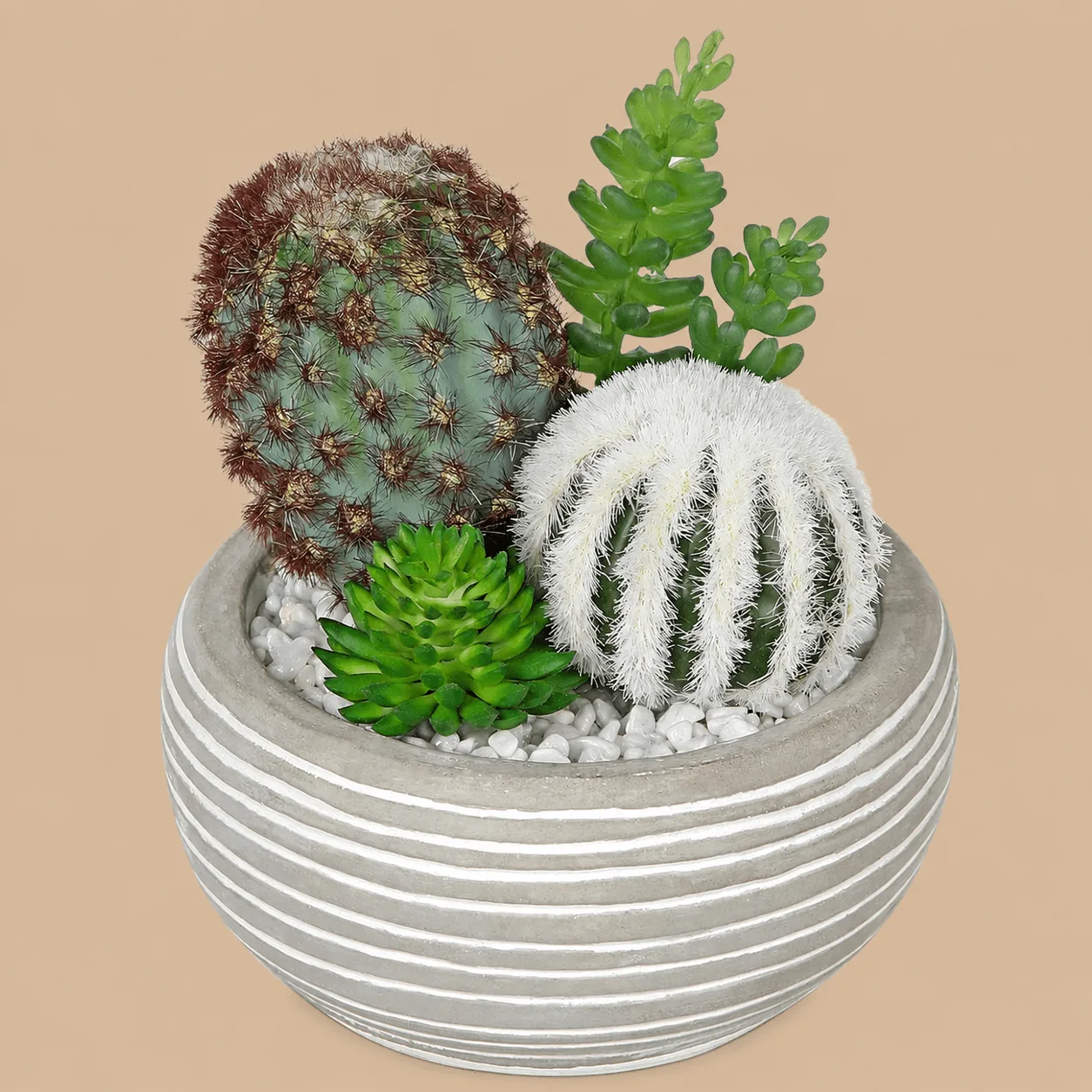 Artificial Cactus & Succulents in Pot: the shop's own photo