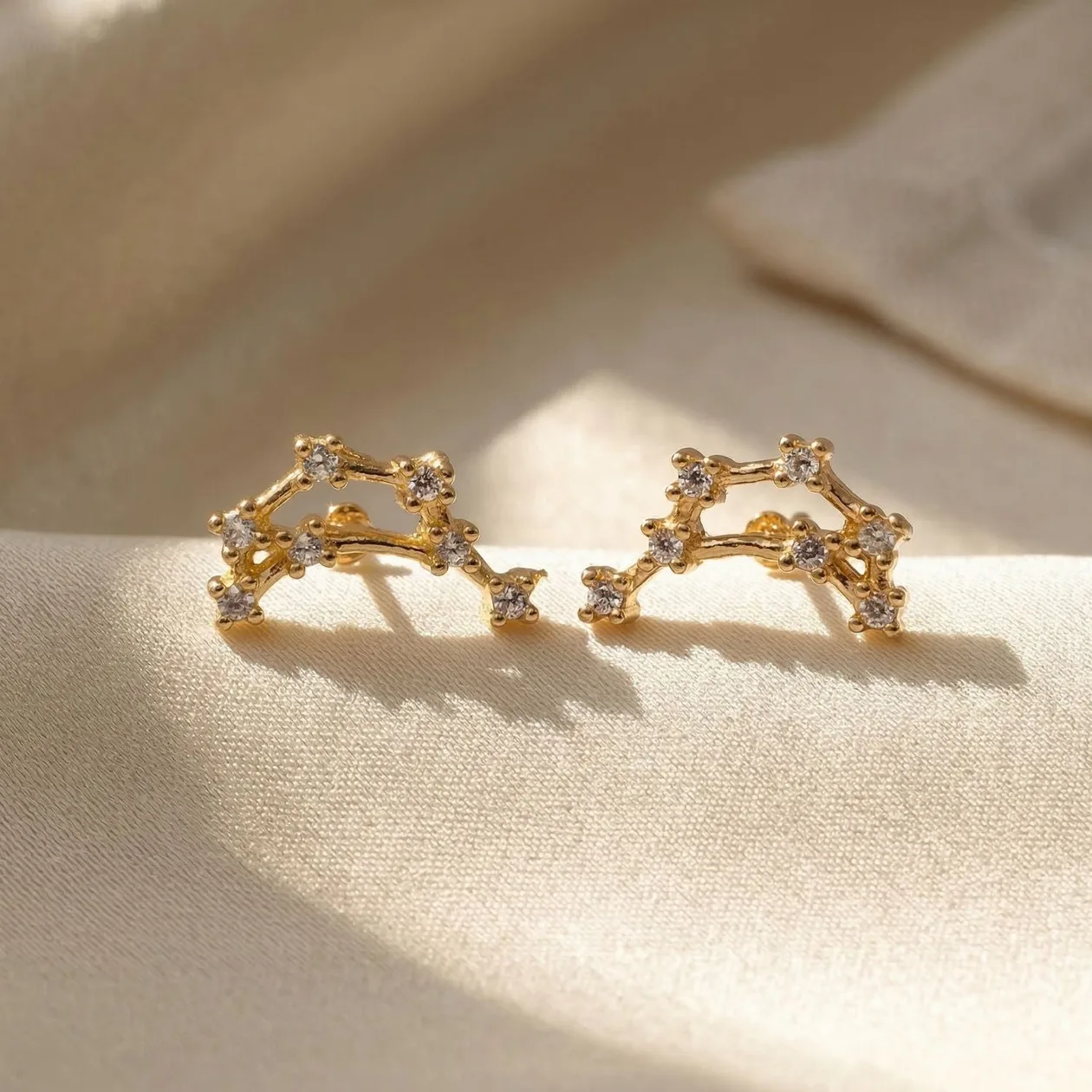 Capricorn Star Sign Constellation Astrology Zodiac Earrings: the shop's own photo