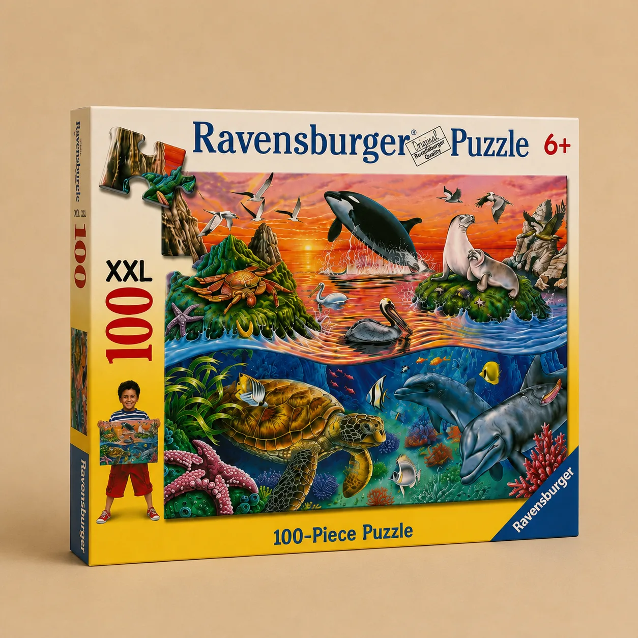 Underwater Puzzle Set: the shop's own photo