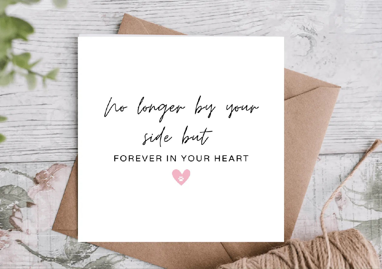 Pet loss Sympathy Card / Pet Loss Card: the shop's own photo