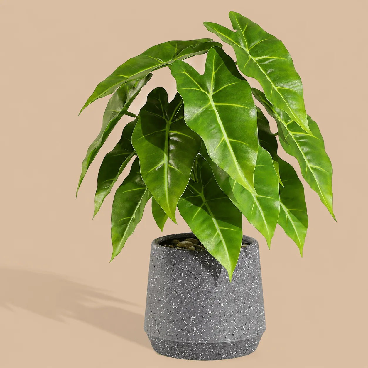 Artificial Sea Taro Plant in Grey Pot: the shop's own photo