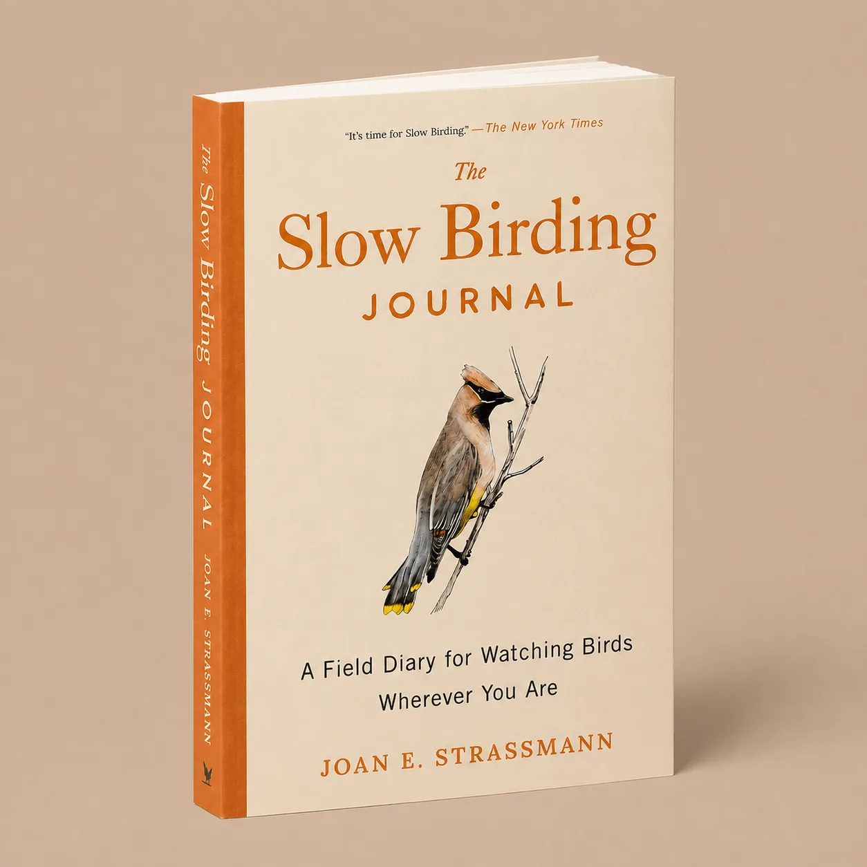 The Slow Birding Journal: the shop's own photo