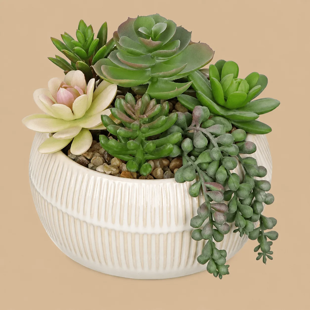 Artificial Succulent in Ceramic Pot: the shop's own photo