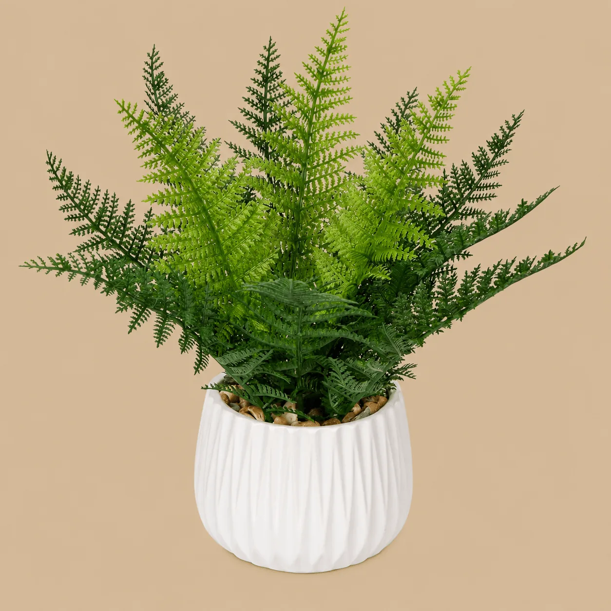 Artificial Boston Fern in White Pot: the shop's own photo