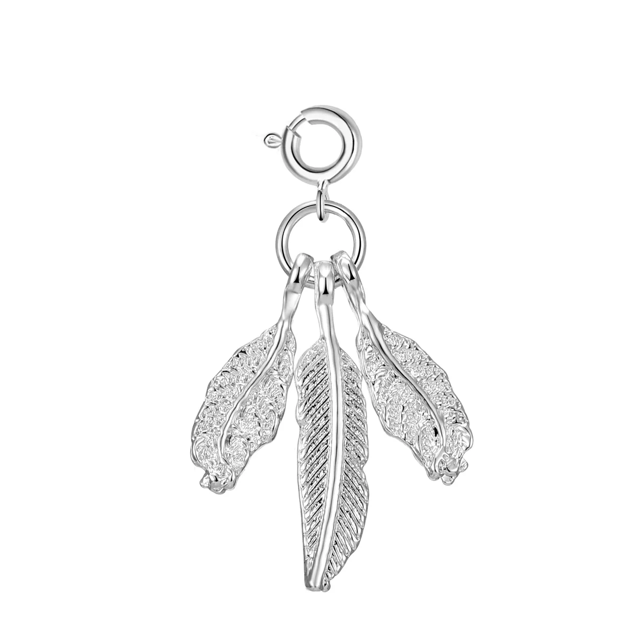 Feathers Charm: the shop's own photo