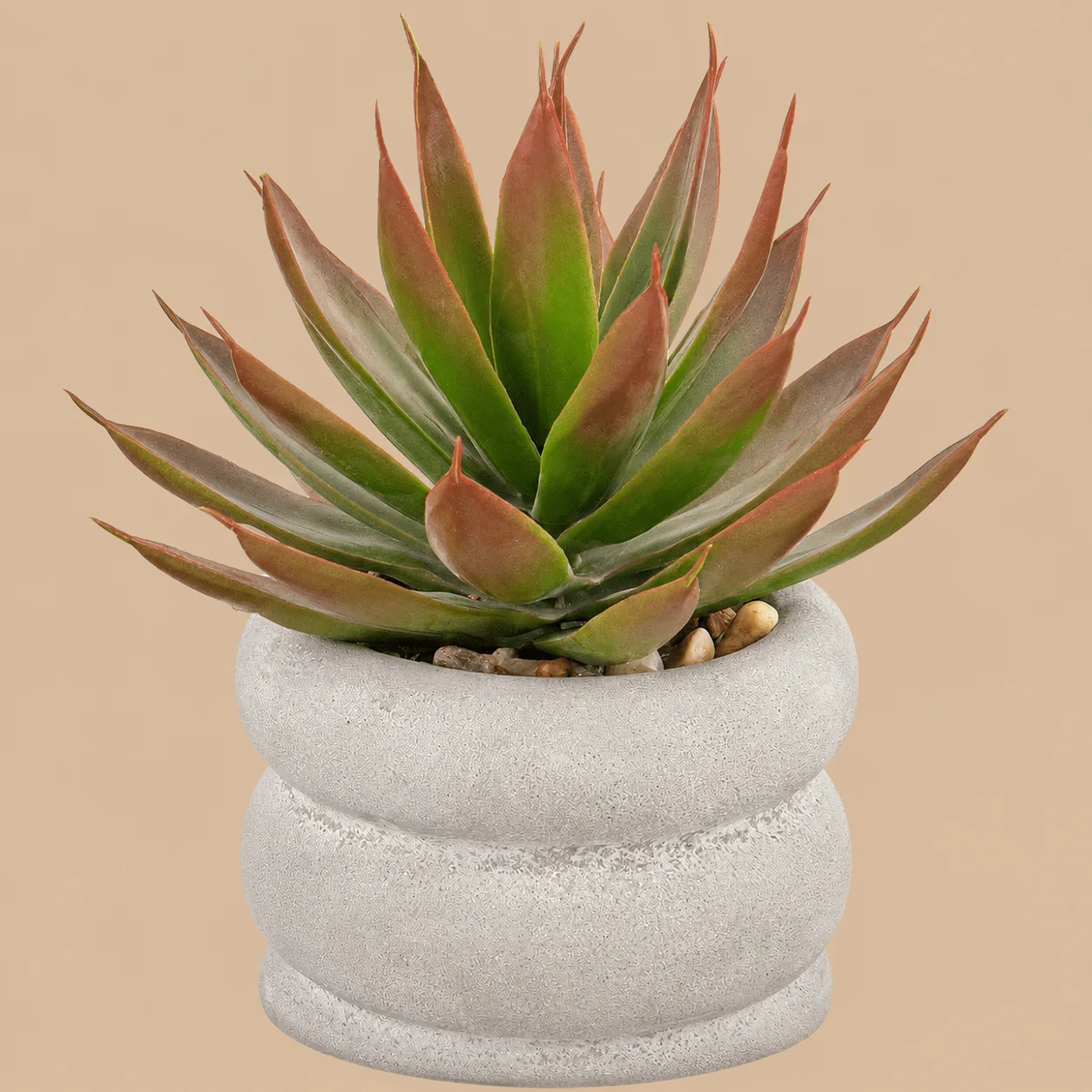 Artificial Agave in Ceramic Pot: the shop's own photo