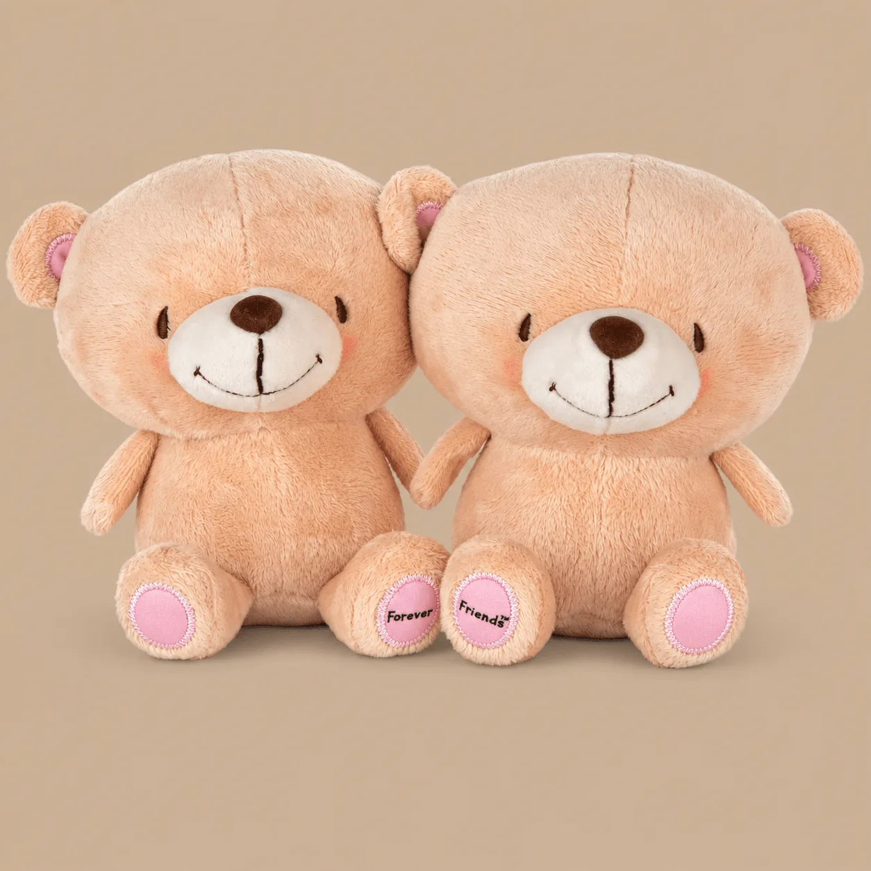 Hallmark Better Together Forever Friends Magnetic Plush Pair: the shop's own photo