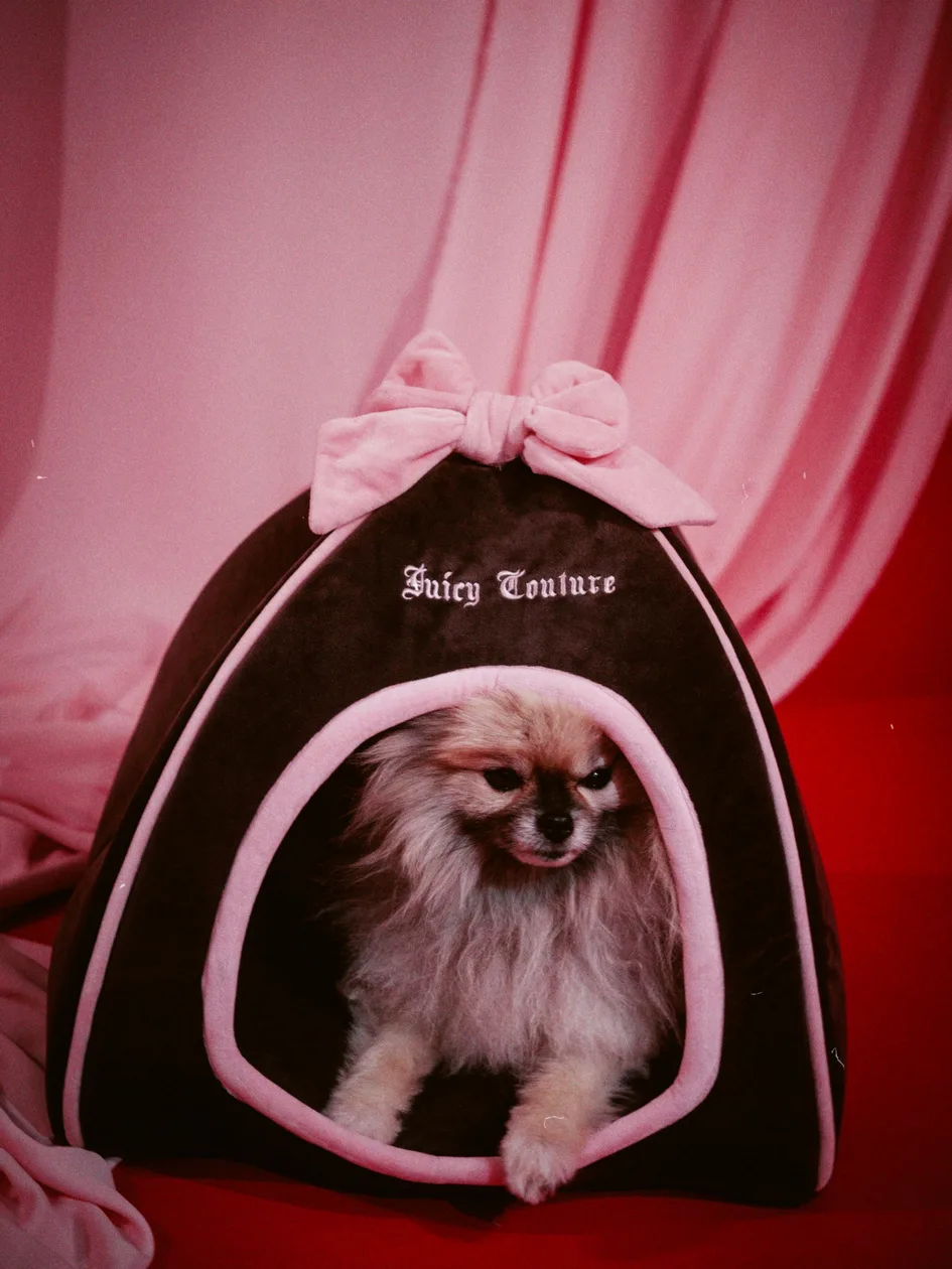 Java Velour Heritage Pet Bed - ONE / Brown: the shop's own photo