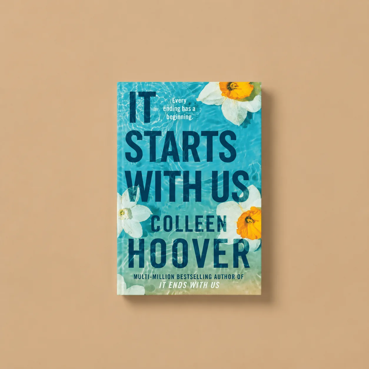 It Starts With Us: the shop's own photo