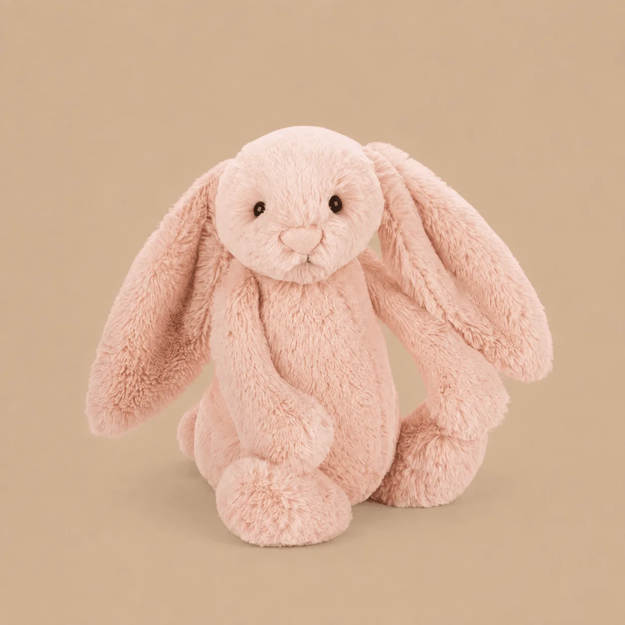 Jellycat Bashful Bunny: the shop's own photo