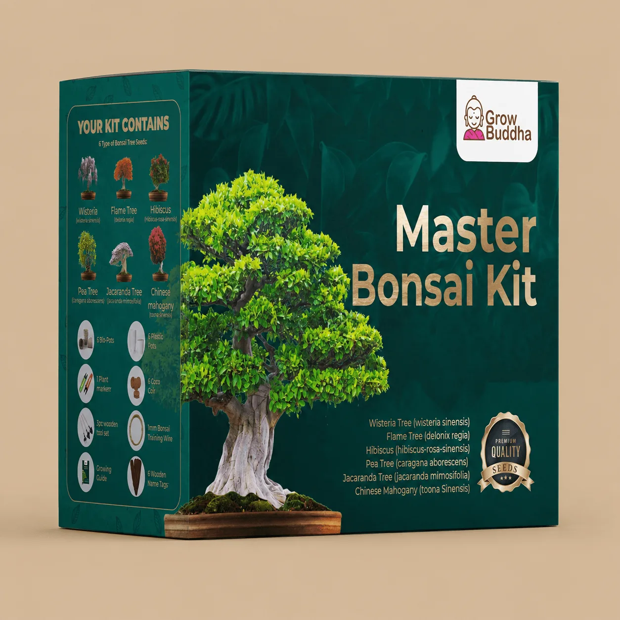 Grow Buddha Master Bonsai Kit: the shop's own photo