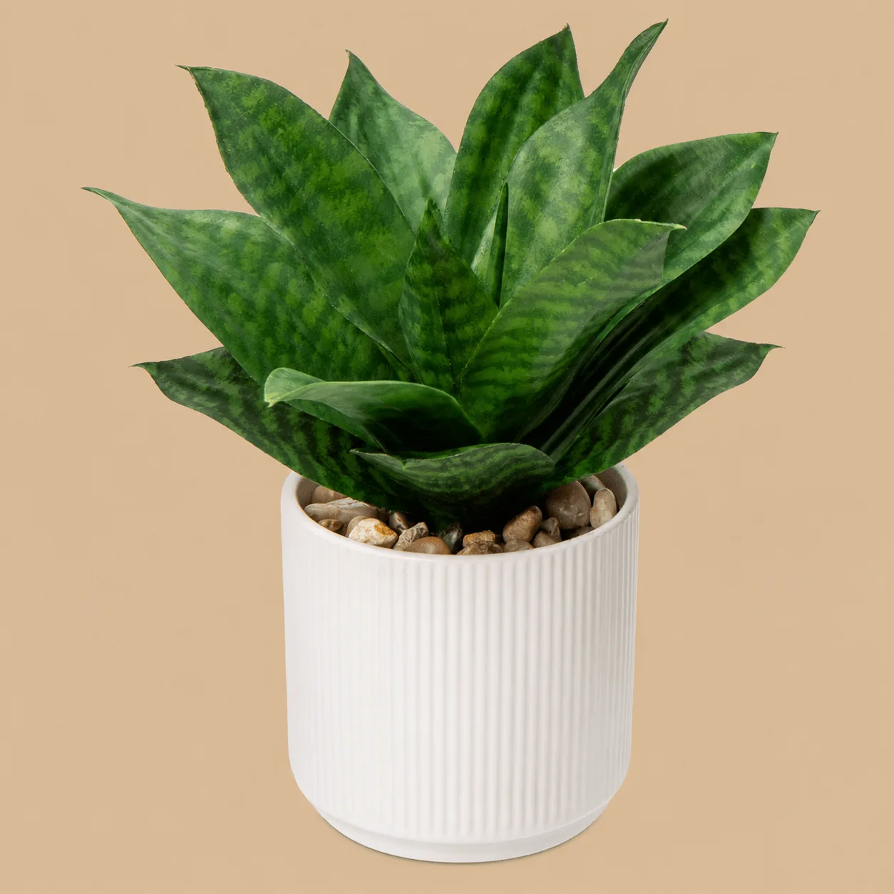 Artificial Agave in Ceramic Pot: the shop's own photo
