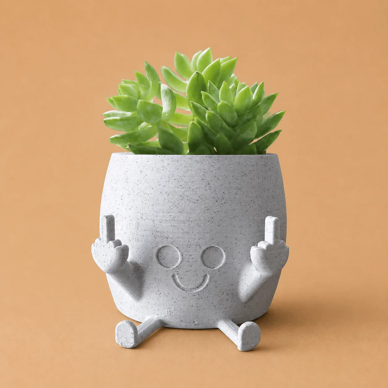 Smiling Middle Finger Plant Pot: the shop's own photo