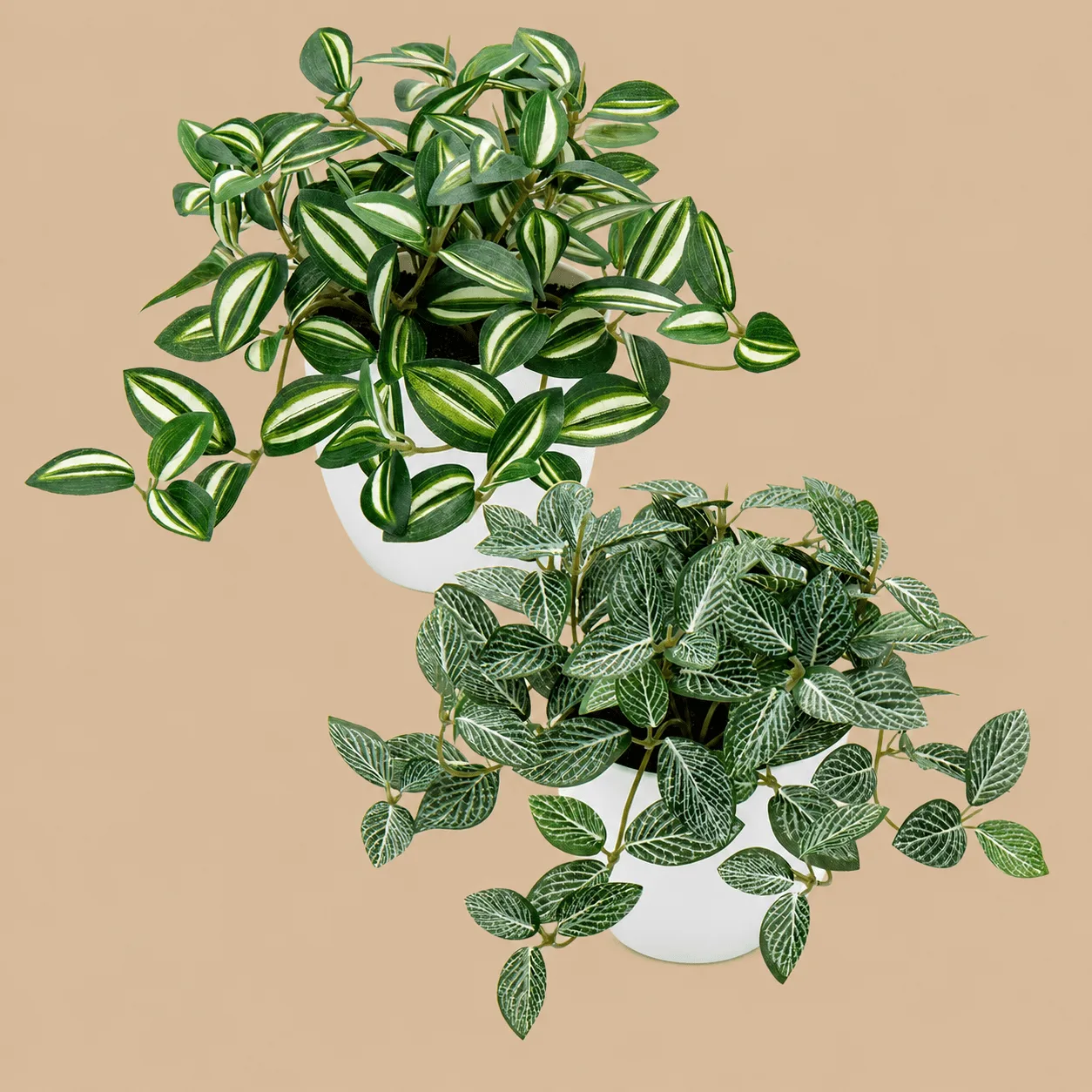 Small Artificial Potted Plants, Set of 2: the shop's own photo